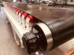 Conveyor transfer point wear plate protection